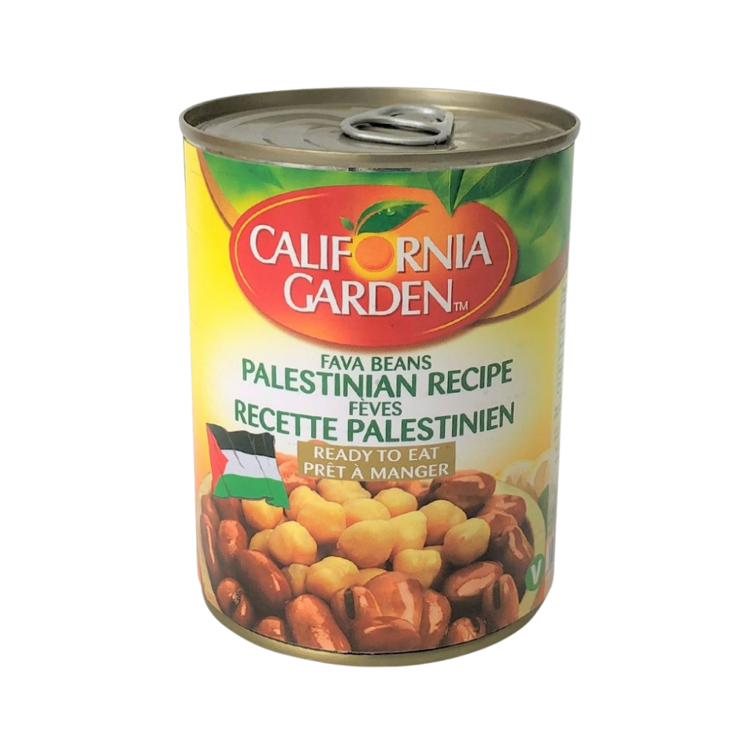 CG FOUL PALESTINIAN