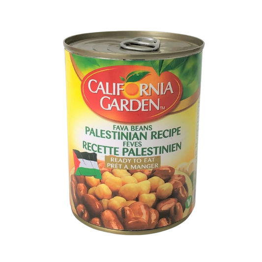 CG FOUL PALESTINIAN
